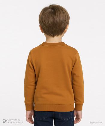 سویشرت پسرانه مندوست کد 113000