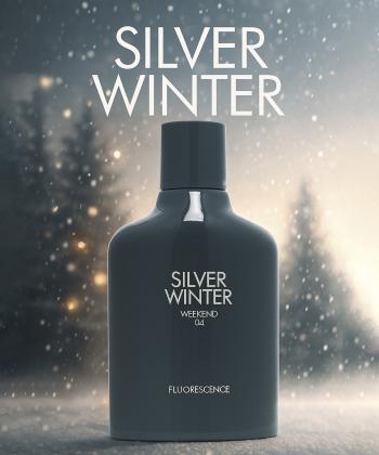 ادوپرفیوم مردانه دی دی مدل Silver Winter حجم 100 میلی لیتر
