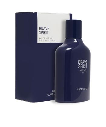 ادوپرفیوم مردانه دی دی مدل Brave Spirit حجم 100 میلی لیتر