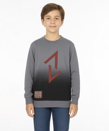 سویشرت پسرانه مندوست کد 103100