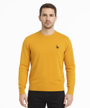 پلیور مردانه آروما کد 12201002