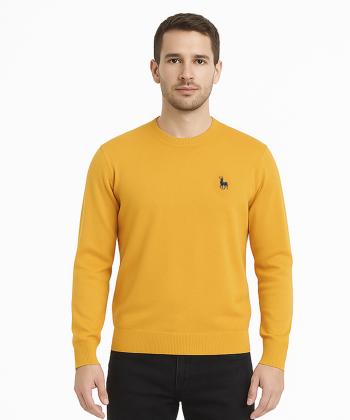 پلیور مردانه آروما کد 12201002