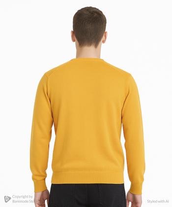 پلیور مردانه آروما کد 12201002