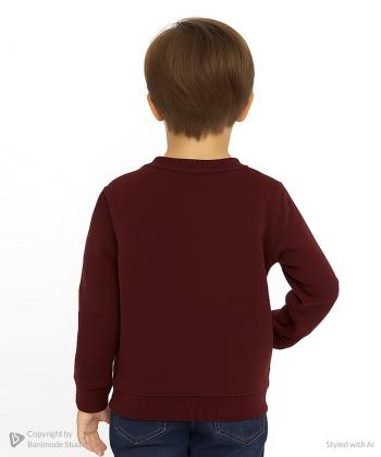 سویشرت  پسرانه یو اس پولو کیدز مدل 4113B1