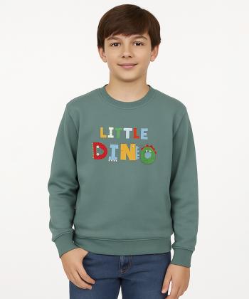 سویشرت پسرانه پاتر كد 798