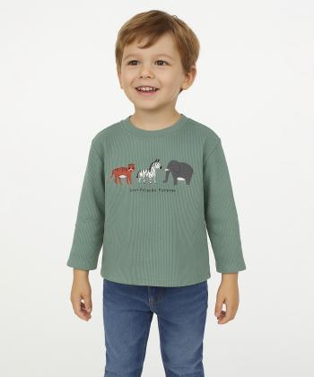 تيشرت آستين بلند نوزاد پسرانه كوتون كد 6WMB10206TK