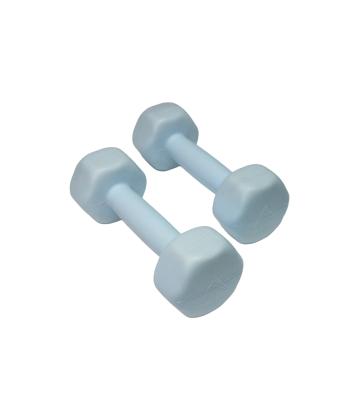 دمبل رادیس فیت Radisfit مدل RPHF-1000