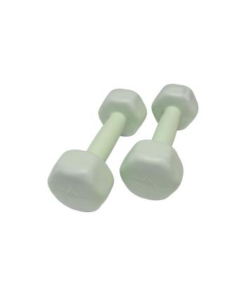 دمبل رادیس فیت Radisfit مدل RPHF-1000