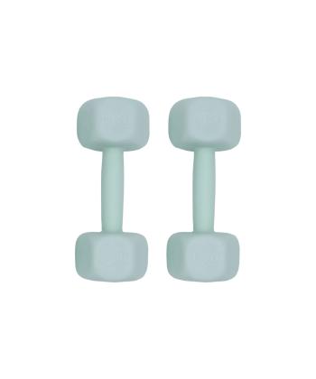 دمبل رادیس فیت Radisfit مدل RPHF-2000