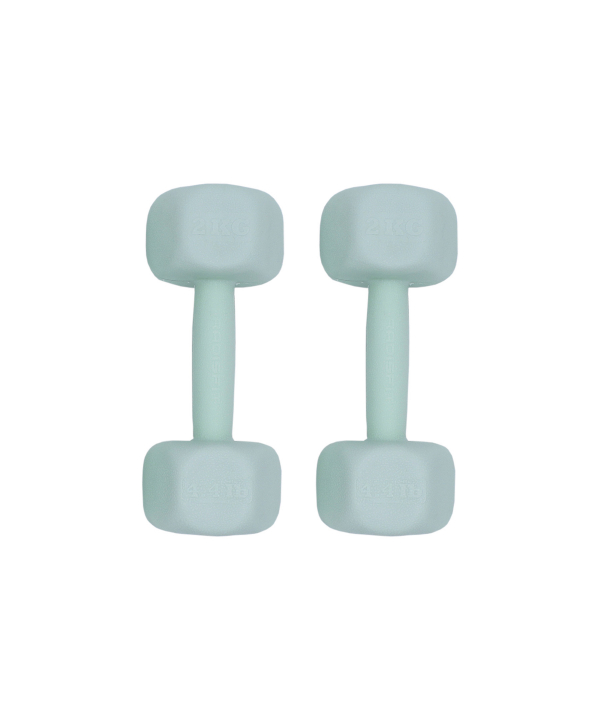 دمبل رادیس فیت Radisfit مدل RPHF-2000