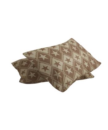 روبالشتی طرح دار دستر Dasther کد 21112099990004 بسته دو عددی