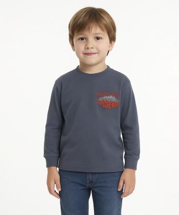 تيشرت آستين بلند پسرانه كوتون كد 6WKB10058TK