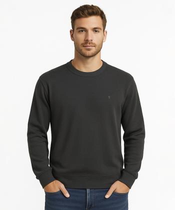 سويشرت مردانه هاليدي كد D13301