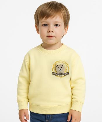 سويشرت پسرانه مرينو كد 1780