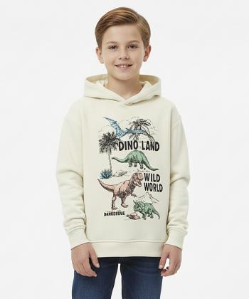 سویشرت پسرانه کوتون کد 6WKB10183TK