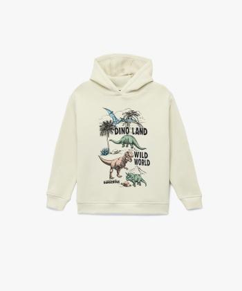 سویشرت پسرانه کوتون کد 6WKB10183TK