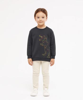 سویشرت آستین بلند پسرانه ال سی وایکیکی LC Waikiki کد W414103Z4