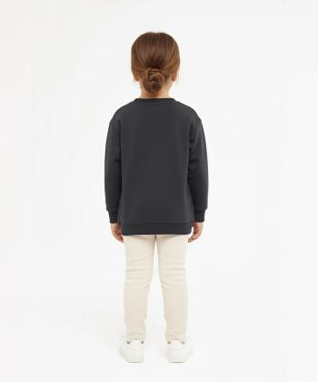 سویشرت آستین بلند پسرانه ال سی وایکیکی LC Waikiki کد W414103Z4