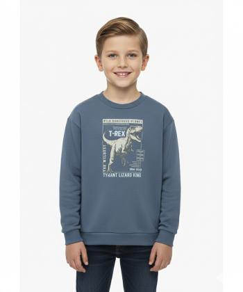 سویشرت پسرانه کوتون کد 6WKB10130TK