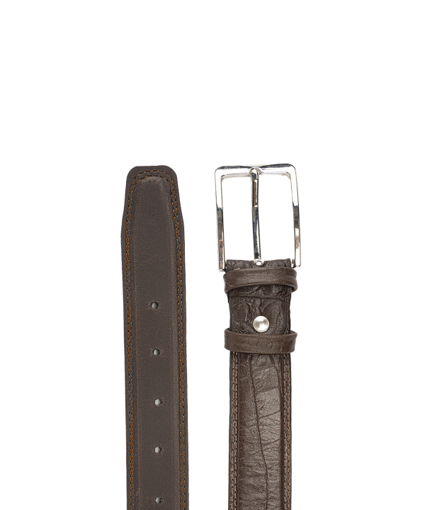 كمربند مردانه چرم طبيعي بيسراك مدل T812-R