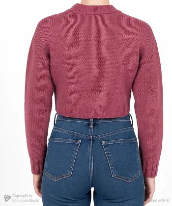 پليور بافت زنانه وينكلر كد W0614306KN