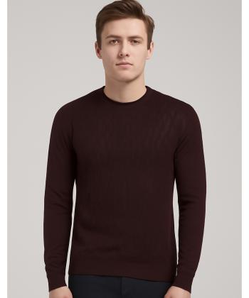 پلیور مردانه پیرکاردین مدل PO-30103391