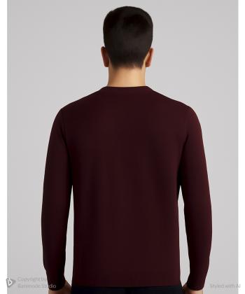 پلیور مردانه پیرکاردین مدل PO-30103391