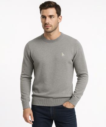 پلیور مردانه آروما کد 12201002