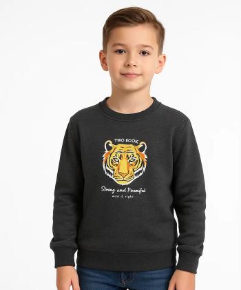 سويشرت پسرانه تودوك Twodook كد 6141