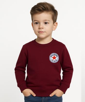 سويشرت پسرانه تودوك كد 5800