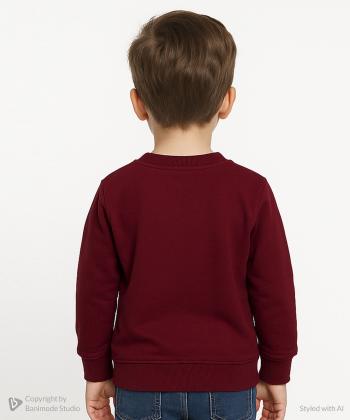 سويشرت پسرانه تودوك كد 5800