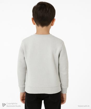 سویشرت پسرانه يو اس پولو كيدز كد 4013C1