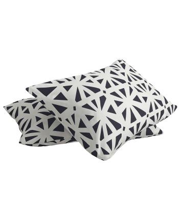 روبالشی دستر مدل ریموند کد 2111209999000 بسته دو عددی