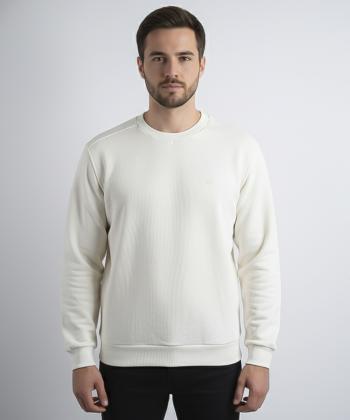 سويشرت مردانه هاليدي كد D16301