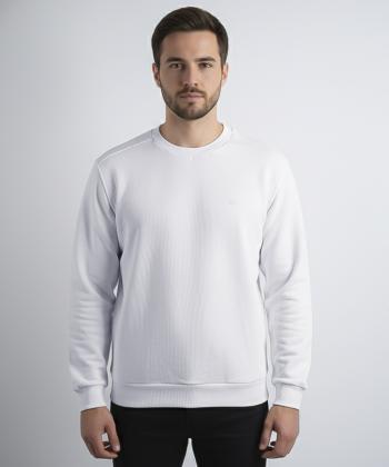 سويشرت مردانه هاليدي كد D16301