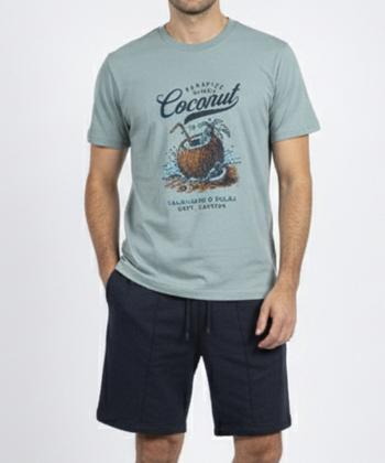 ست تیشرت و شلوارک راحتی مردانه سه دو مدل 6WM37NT2441