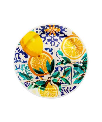 بشقاب چندبارمصرف طرح نارنجستان هانيمان سري پيكنيك پرايم