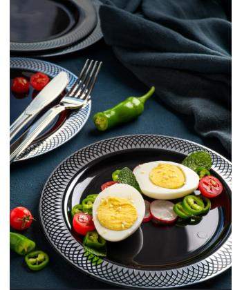 بشقاب چندبارمصرف طرح مشبك هانيمان سري پيكنيك پرايم