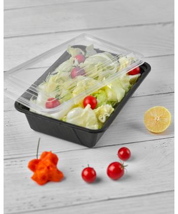 ظرف سوپرفرش فريزري 1125 هانيمان سري پيكنيك پرايم