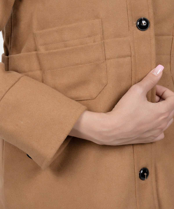 پالتو