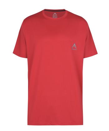 تيشرت ورزشي مردانه راديس فيت مدل Dri-Fit R1