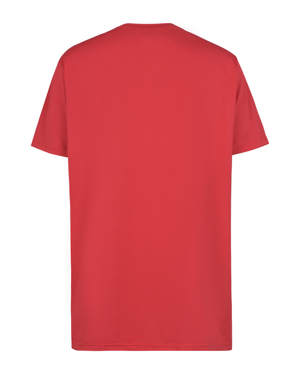 تيشرت ورزشي مردانه راديس فيت مدل Dri-Fit R1