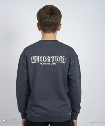 سویشرت پسرانه مندوست مدل 10560