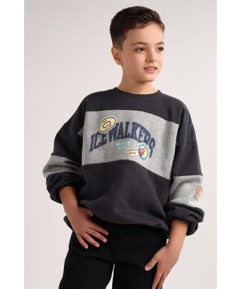 سويشرت پسرانه سارك كد 1265032