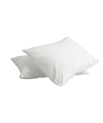 روبالشی پرارین کد 2411179999000 بسته دو عددی