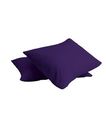 روبالشی پرارین کد 2411179999000-1 بسته دو عددی