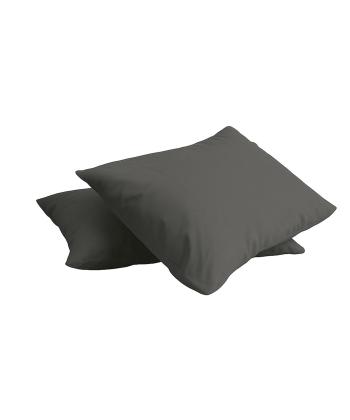 روبالشی پرارین کد 2411179999000-1 بسته دو عددی