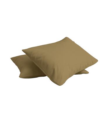 روبالشی پرارین کد 2411179999000-2 بسته دو عددی