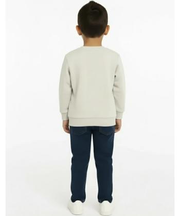 سویشرت آستین بلند پسرانه ال سی وایکیکی LC Waikiki کد W411597Z4