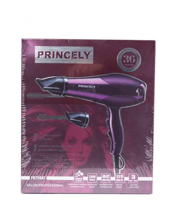 سشوار پرینسلی Princely مدل PR258AT